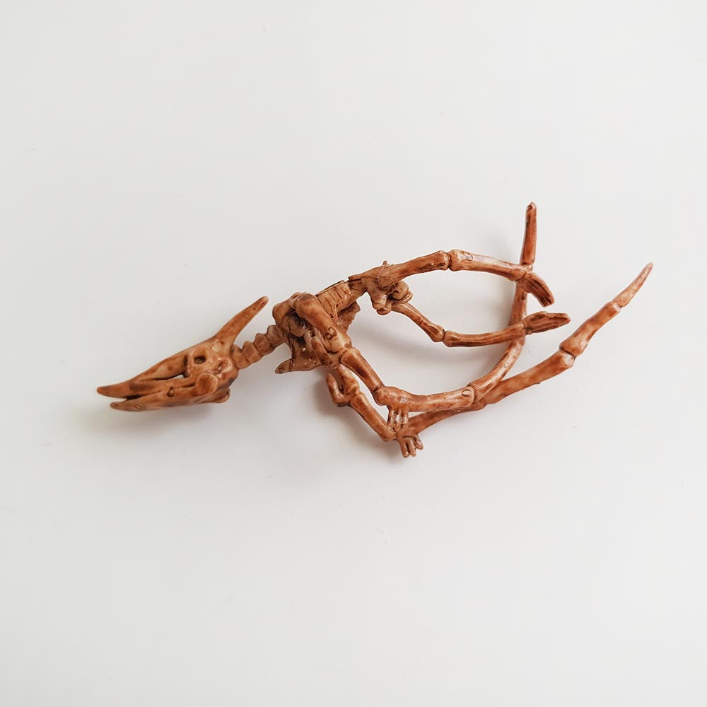 Toy Pterodactyl skeleton dinosaur fossil