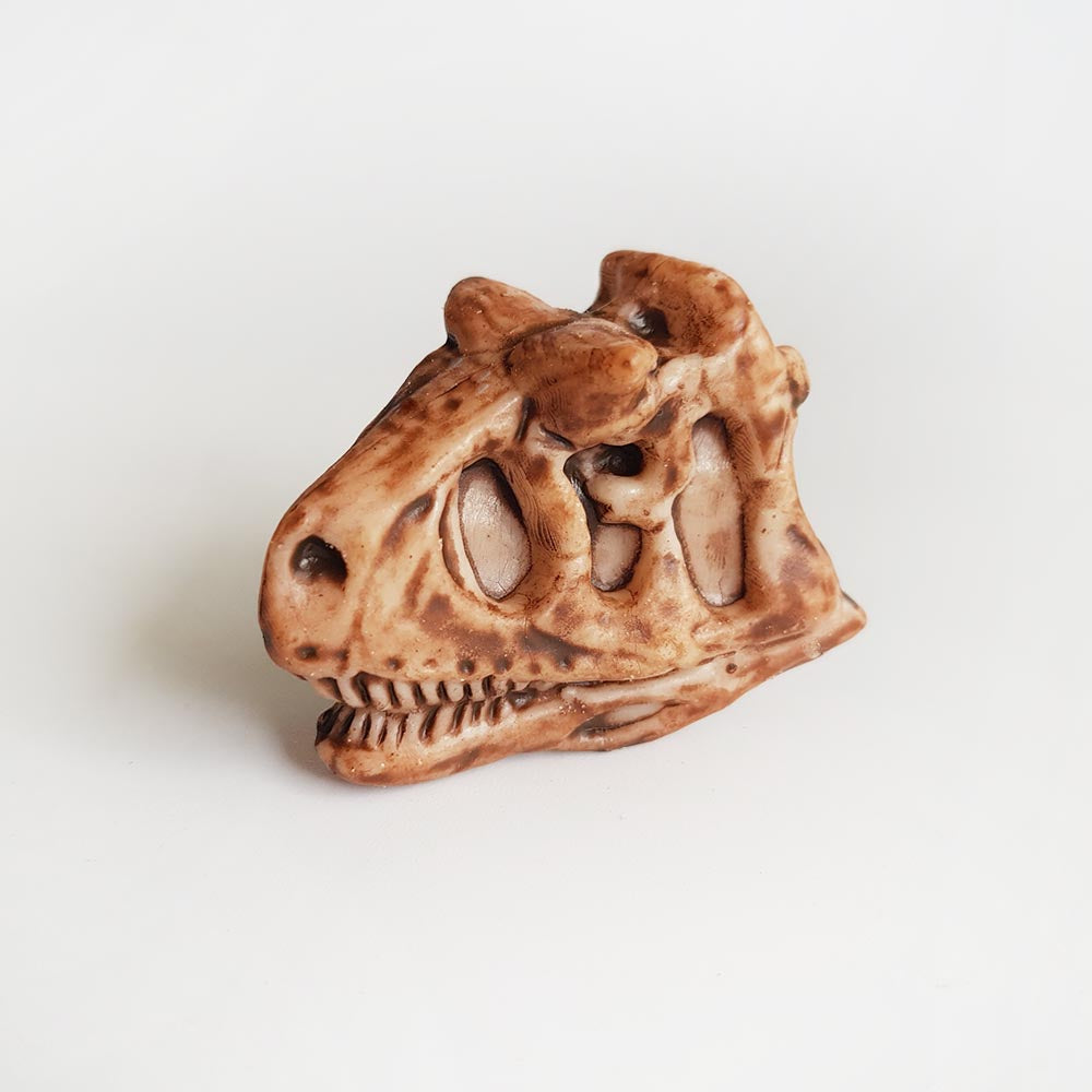 Carnotaurus dinosaur skull toy