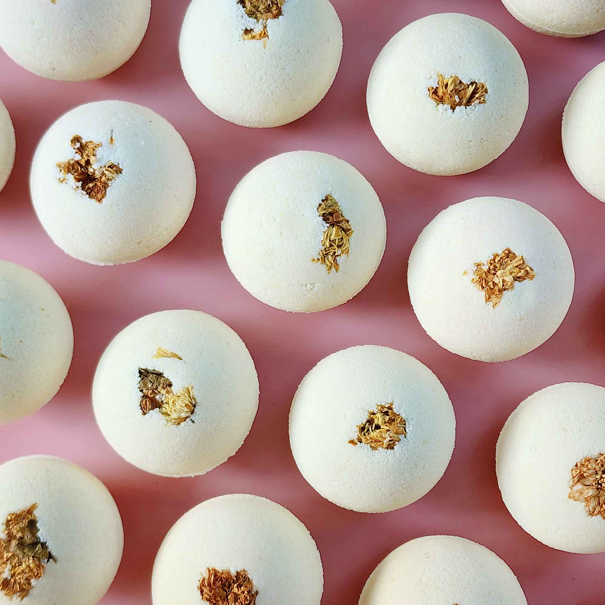 Cream white round essential oil aromatherapy bath bombs with dried chrysanthemum on a plain pink background