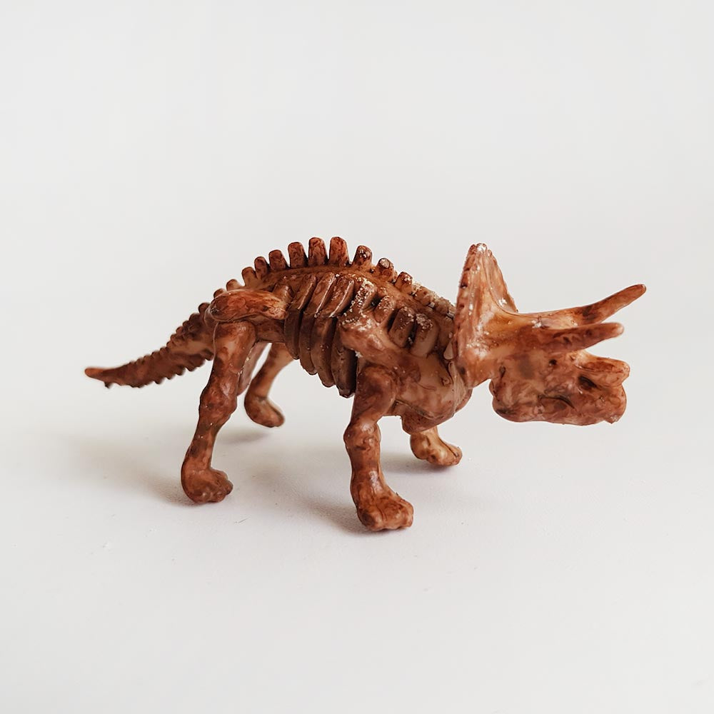 Toy Triceratops skeleton dinosaur fossil