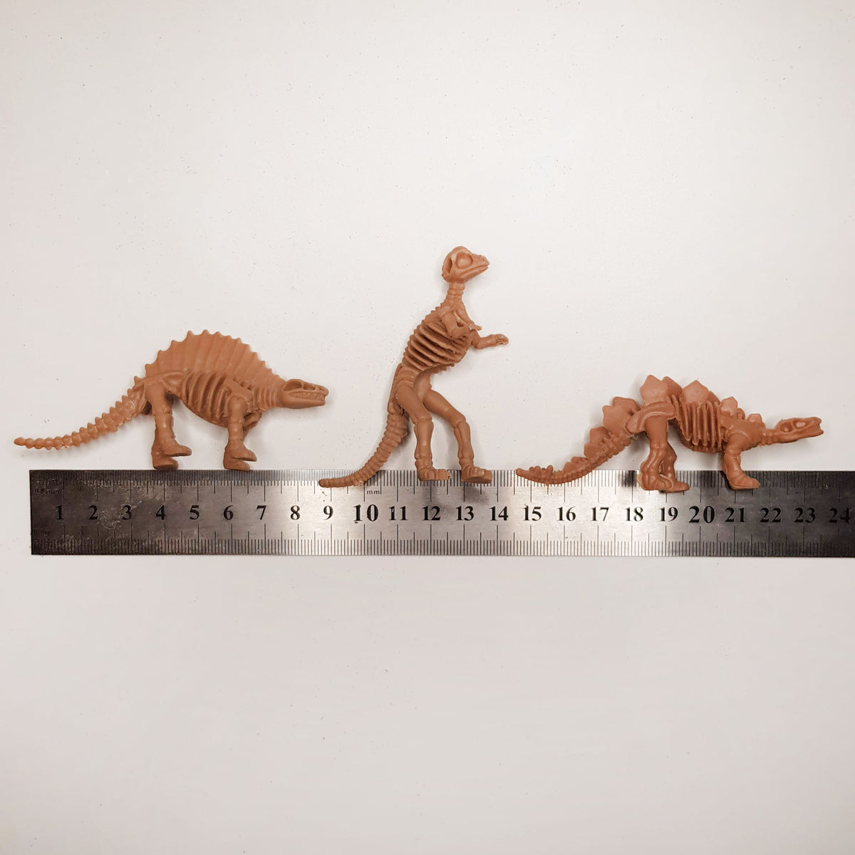 row of dinosaur fossil toys being measured next to a metal ruler on a white background