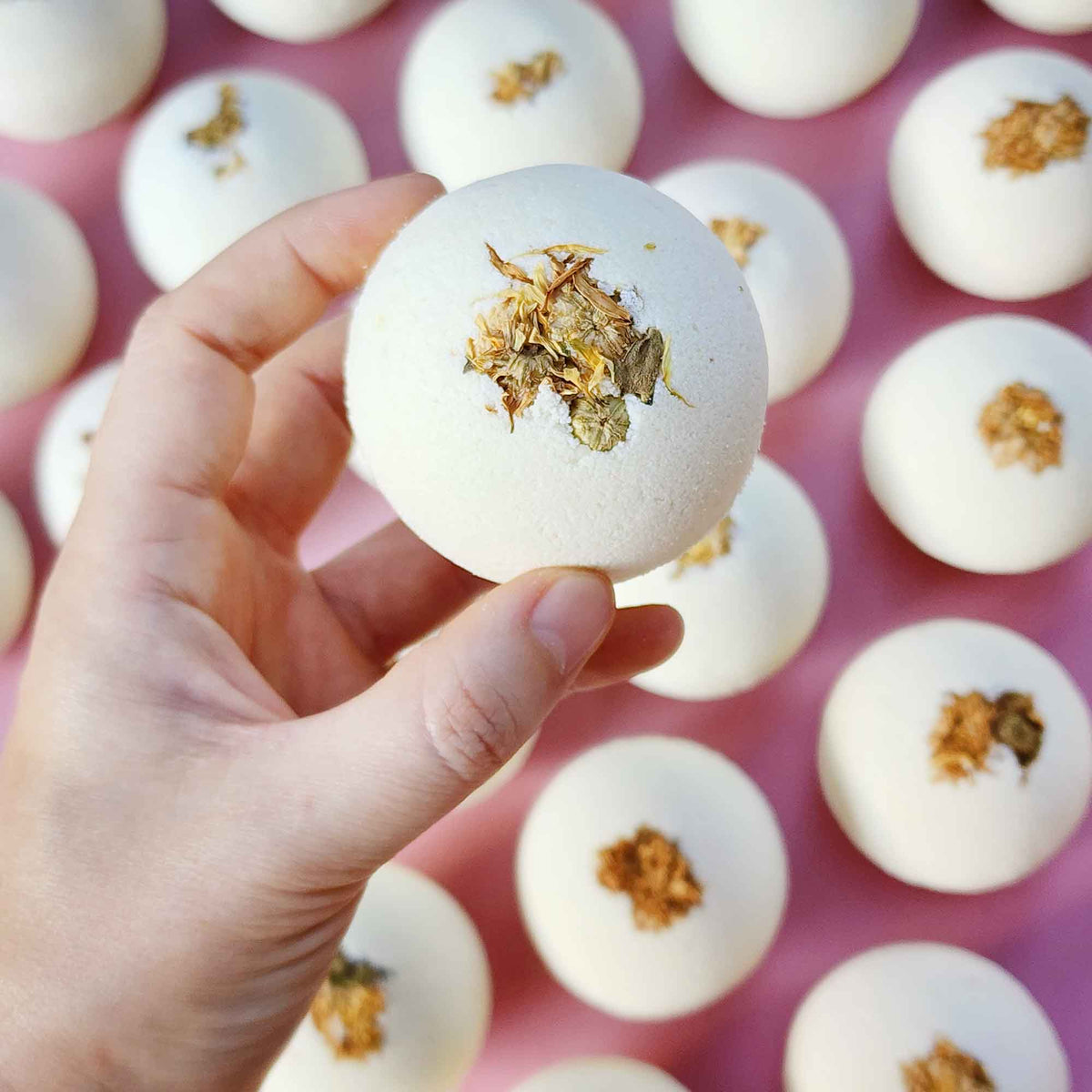 Cream white round essential oil aromatherapy bath bombs with dried chrysanthemum on a plain pink background