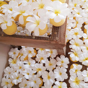 Frangipani bath bomb with flower