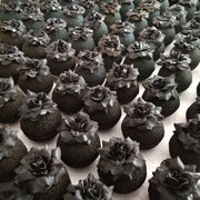 Black rose bath bomb