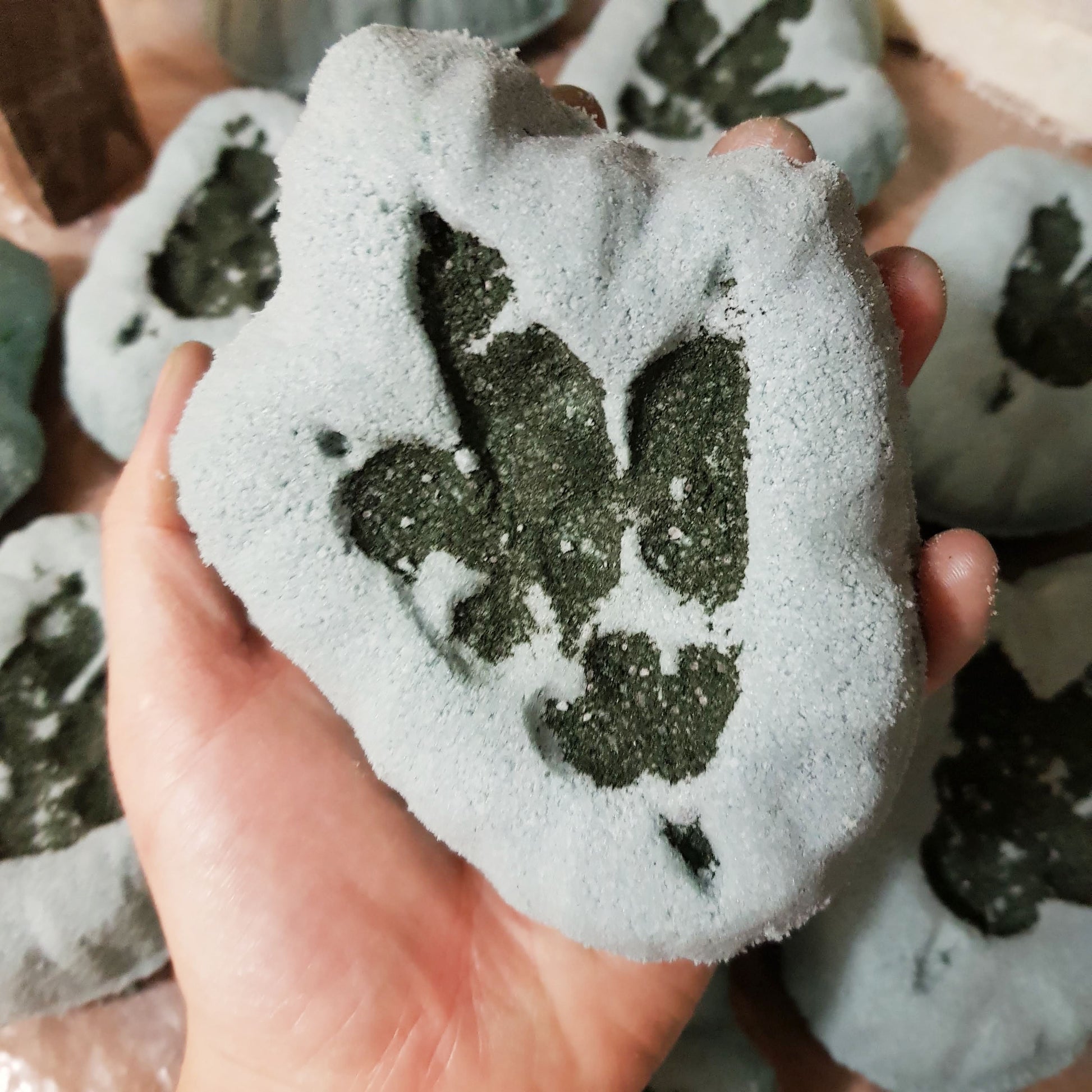 Grey bath bomb shaped like a dinosaur fossil with a dark dino footprint on it held in a hand