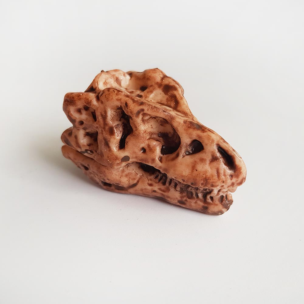 Tyrannosaurus Rex dinosaur skull toy