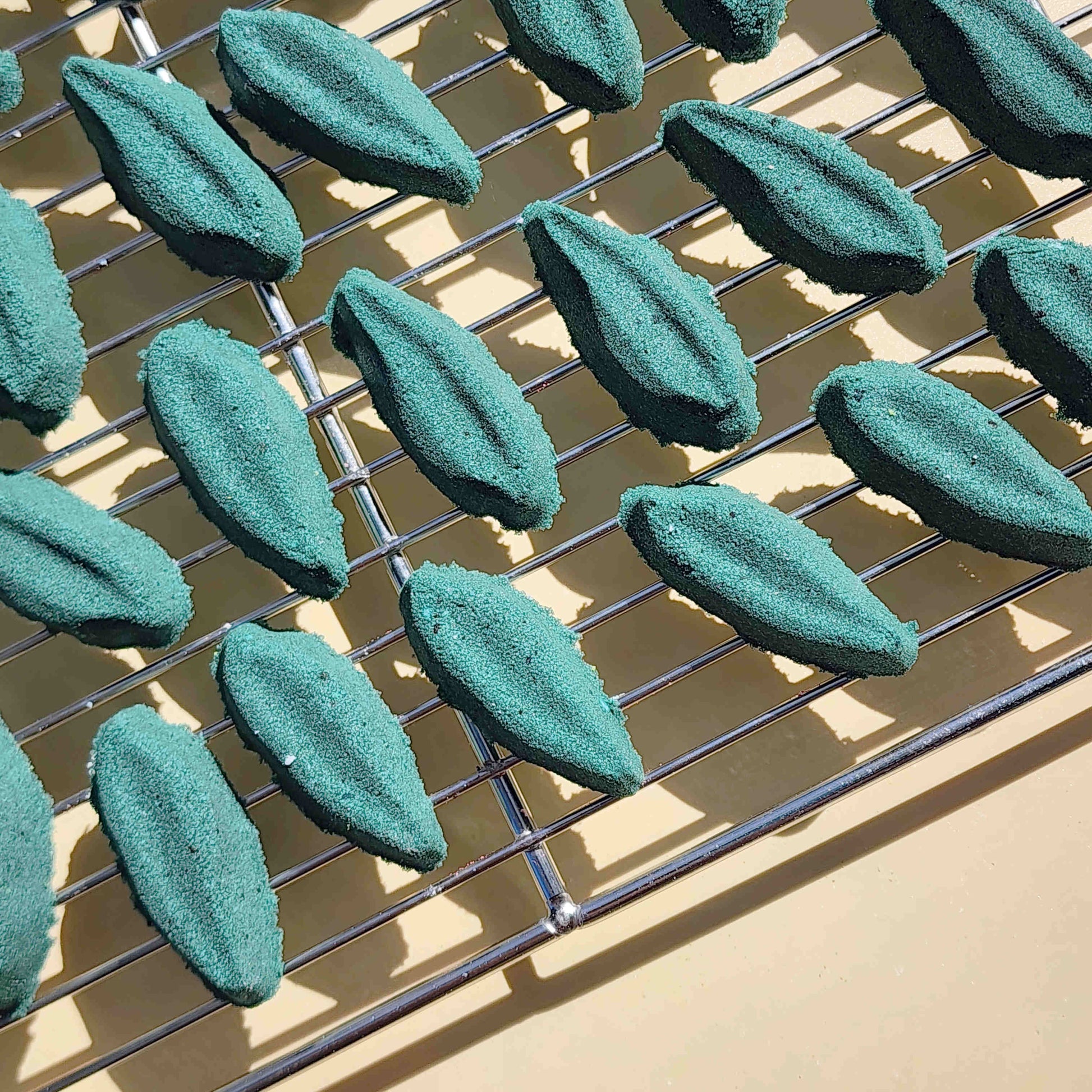 deep green long leaf shaped bath bombs laid out neatly on a plain beige background