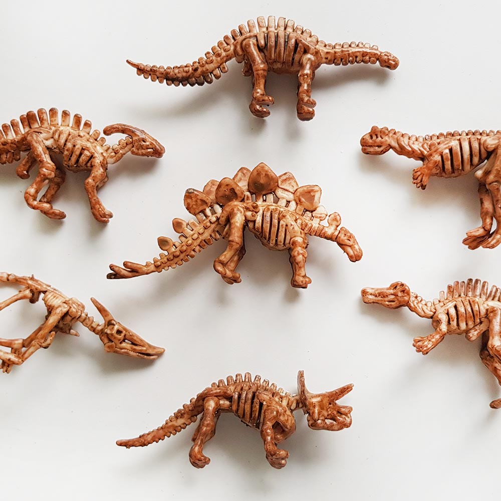 Toy Dinosaur skeleton fossils