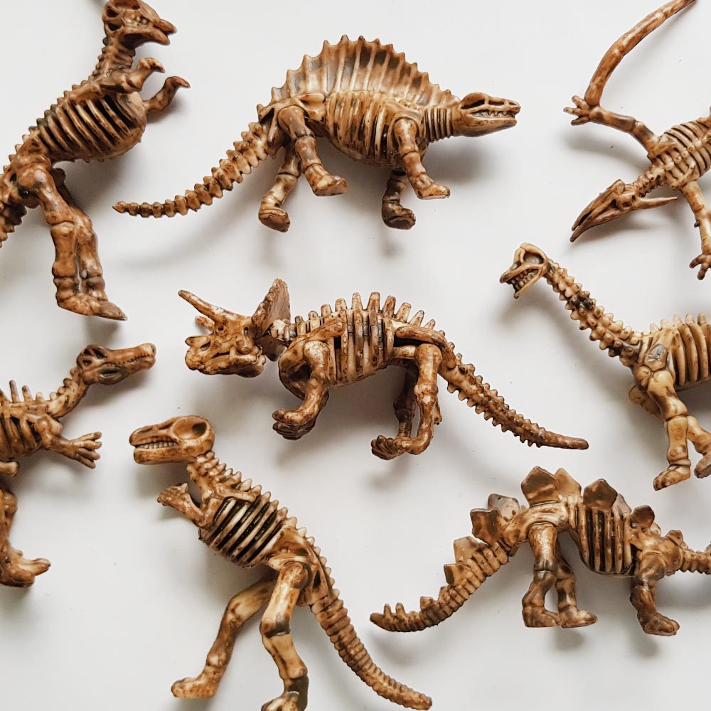 Large dinosaur fossil toys