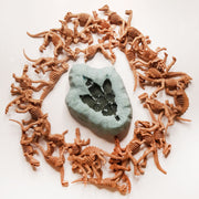 Grey bath bomb shaped like a dinosaur fossil with a dark dino footprint on it surrounded by skeletal dino toys