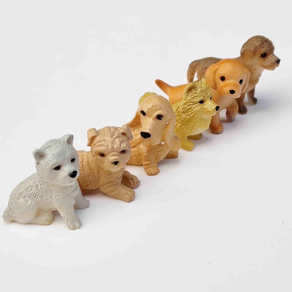 Row of mini pvc dog figurines placed in a tidy row on a white background