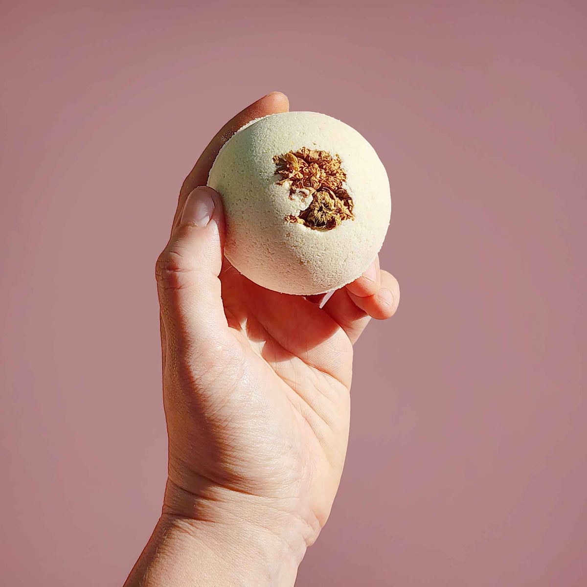 Cream white round essential oil aromatherapy bath bombs with dried chrysanthemum on a plain pink background