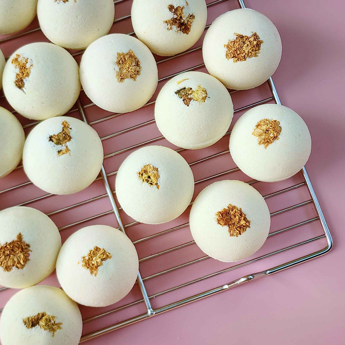 Cream white round essential oil aromatherapy bath bombs with dried chrysanthemum on a plain pink background