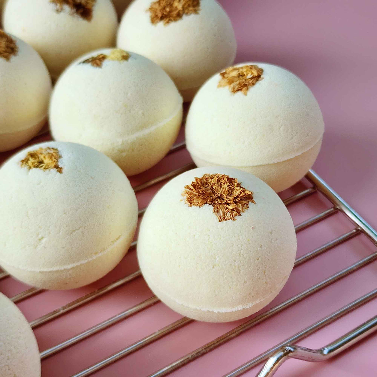 Cream white round essential oil aromatherapy bath bombs with dried chrysanthemum on a plain pink background