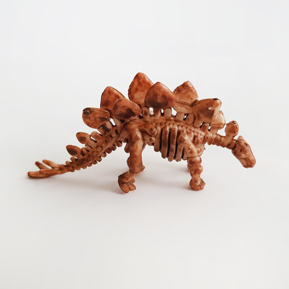 Toy Stegosaurus skeleton fossil