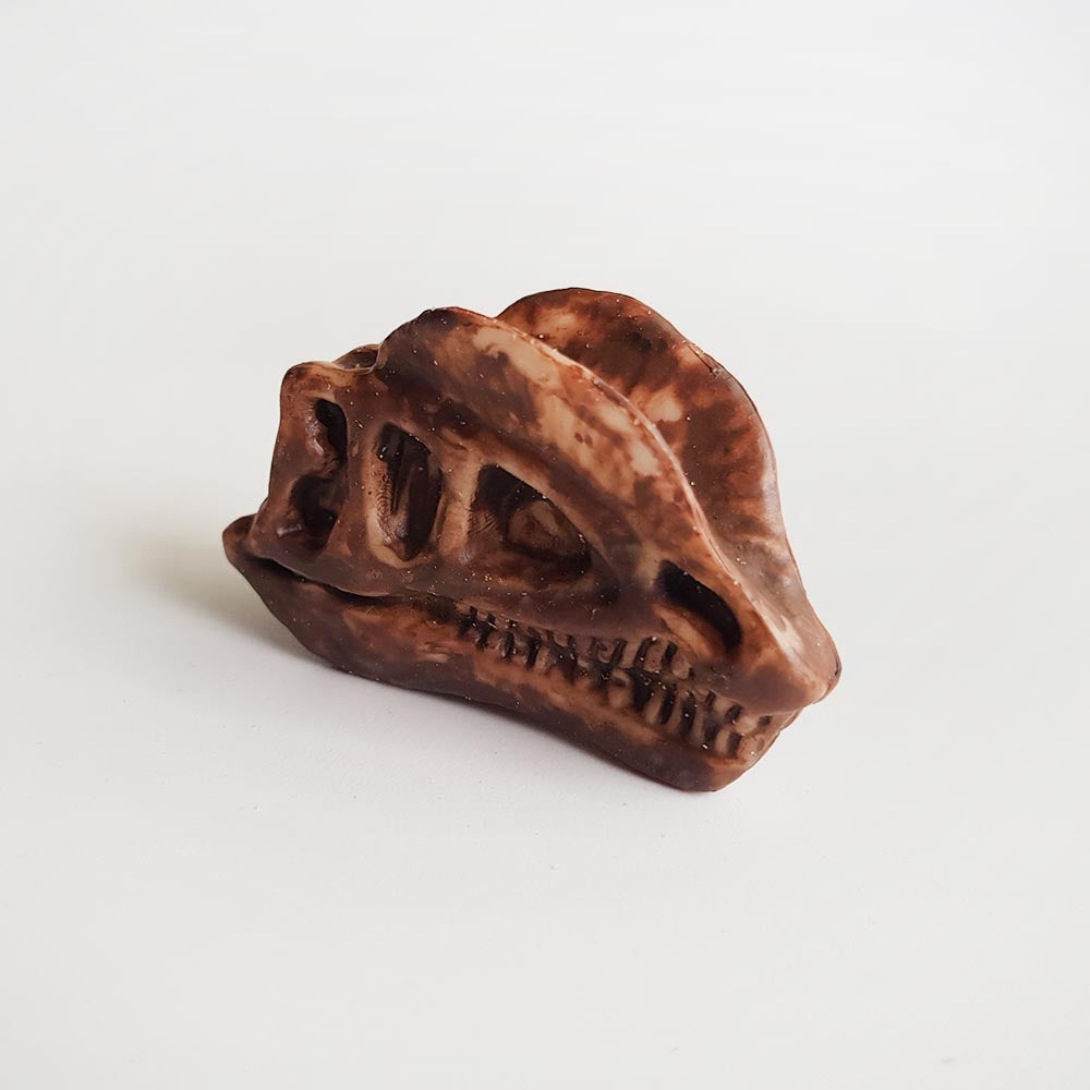 Dilophosaurus dinosaur skull toy