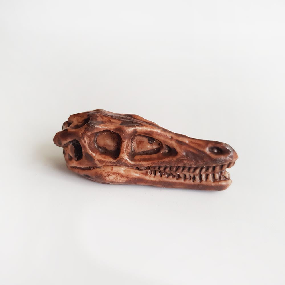 Velociraptor dinosaur skull toy