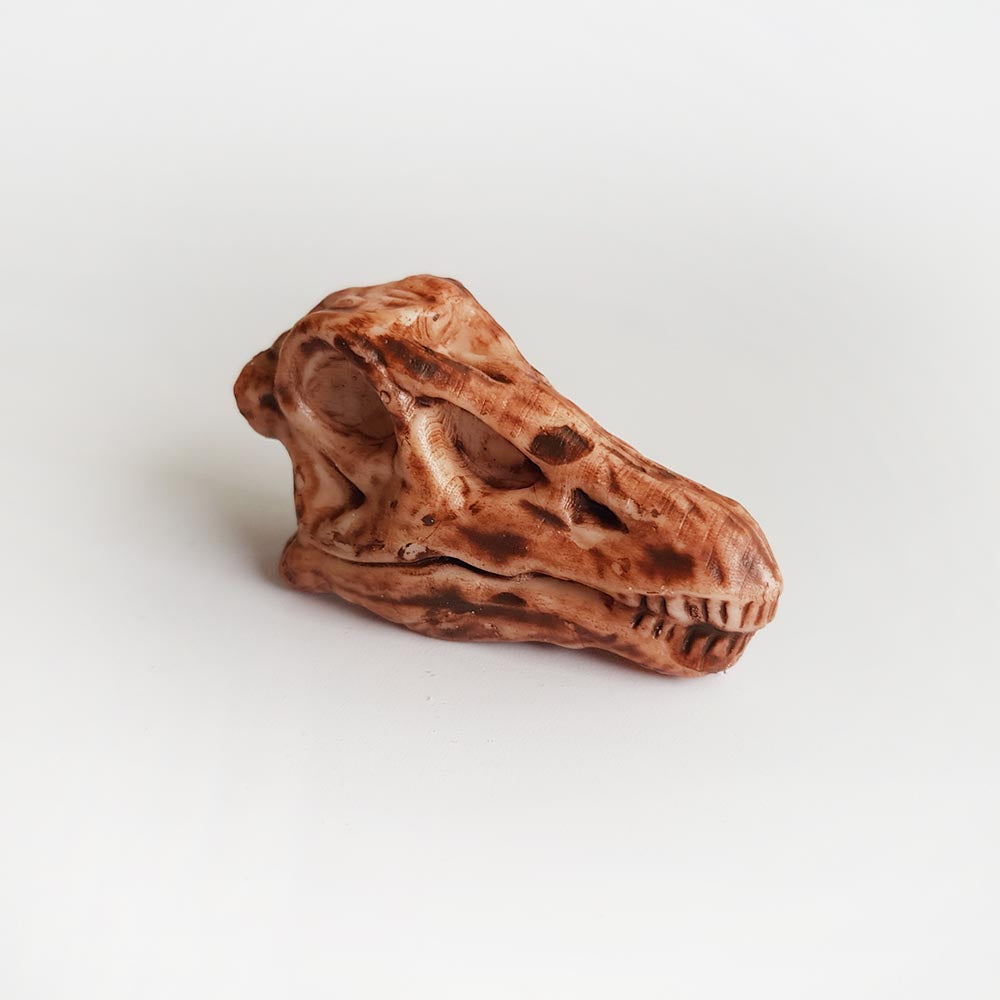 Diplodocus dinosaur skull toy