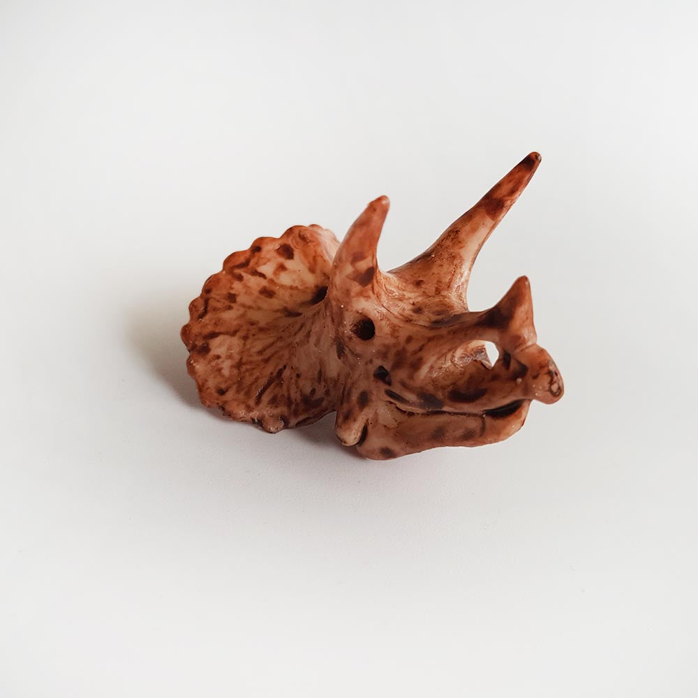 Triceratops dinosaur skull toy