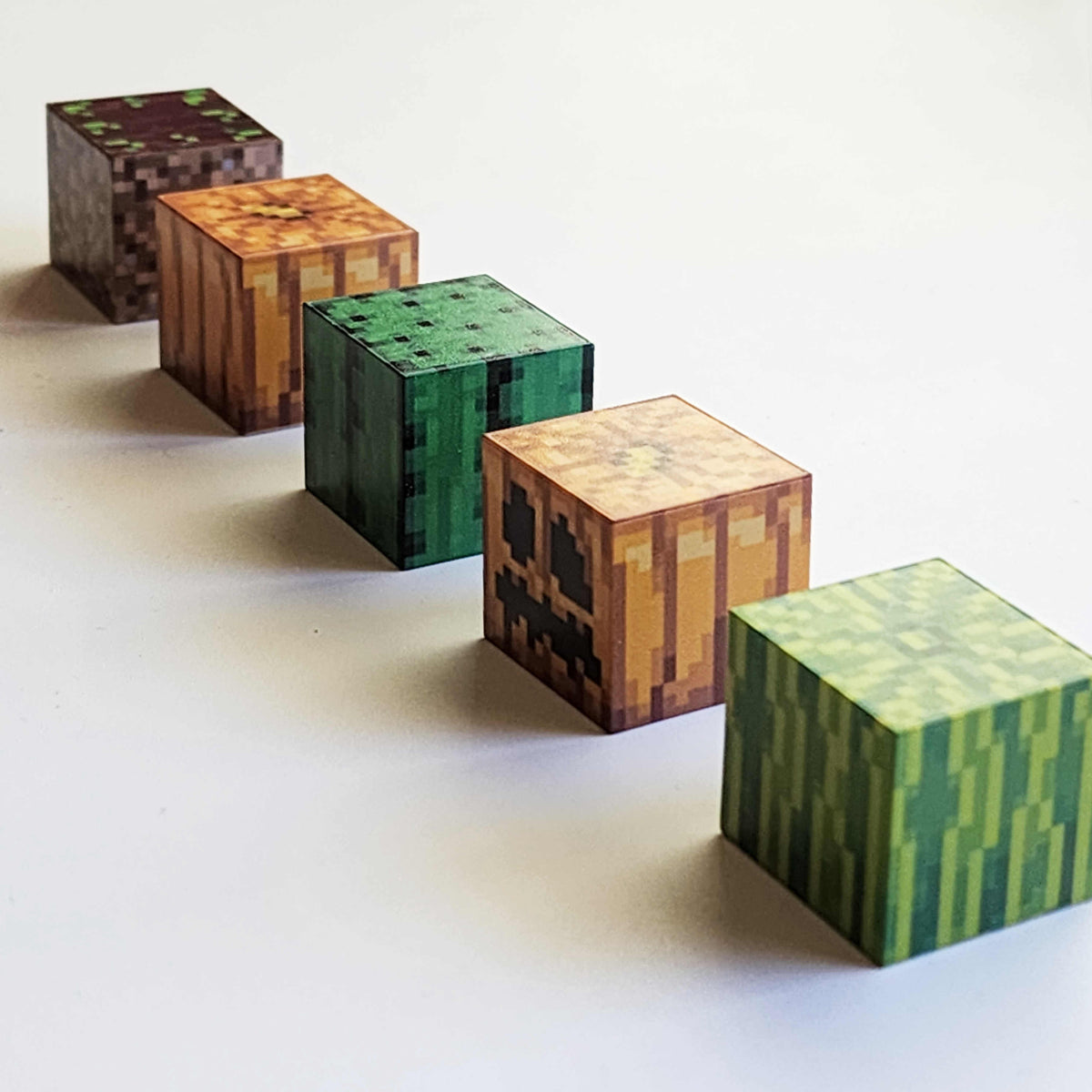 Row of common agriculture related minecraft blocks