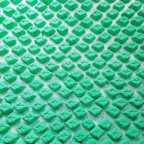 peppermint essential oil mini bath bombs
