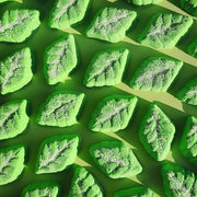 Spearmint Leaves Party Mix Mini Bath Bomb